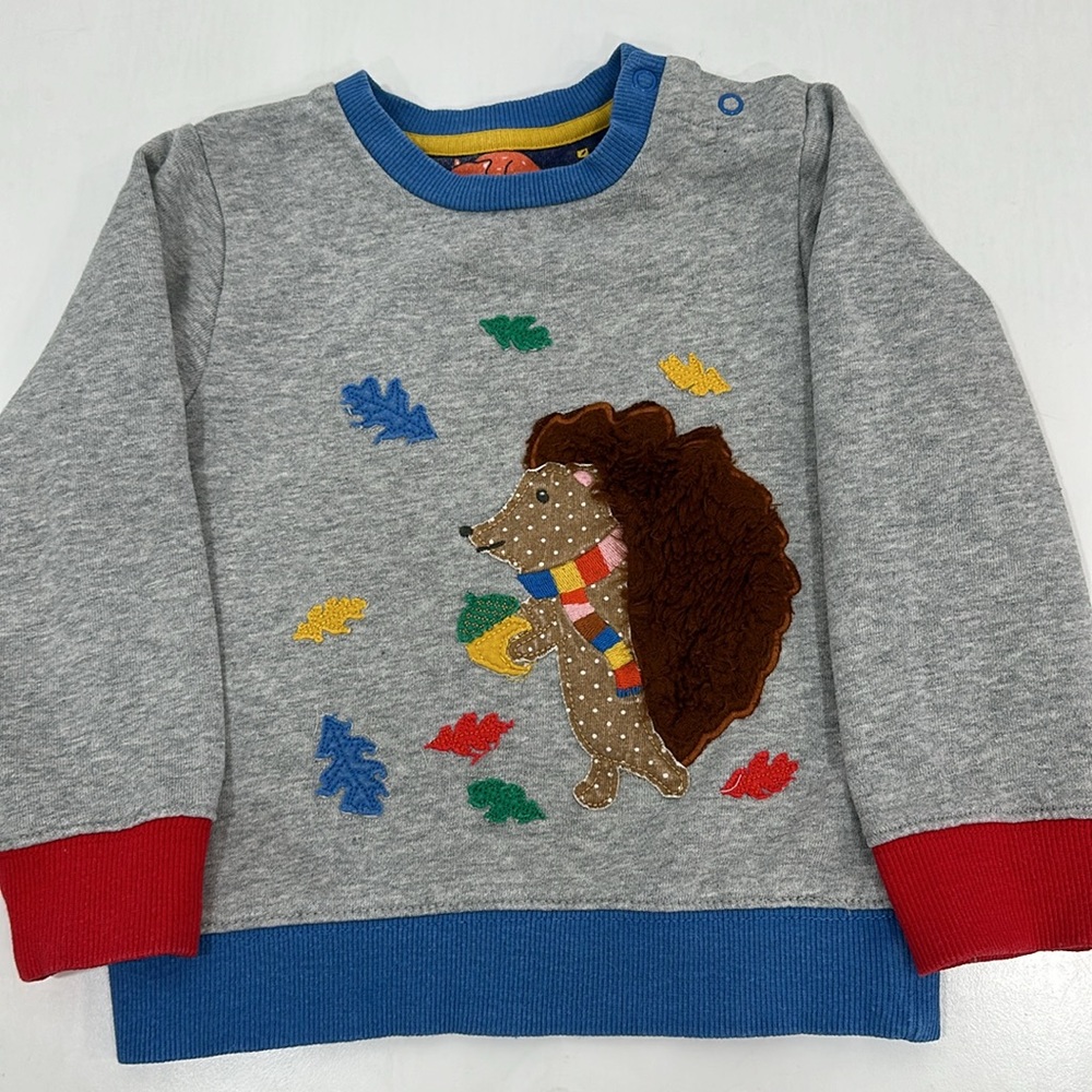 Cute sweatshirt by Baby Boden pre owe, very good condition. - Picture 4 of 5